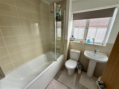 Picture 8